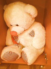 White teddy bear waiting to be carefully packed for the move.