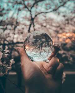 Our movers Plainfield NJ do not use items like crystal balls to organize your move