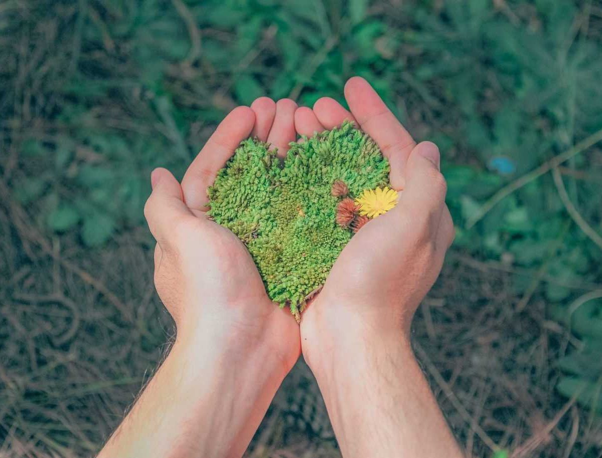 Tips for an Eco-Friendly Move
