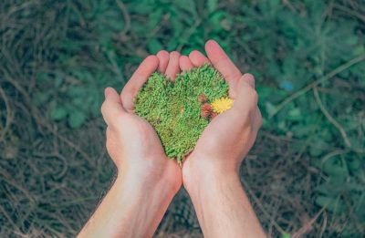 Tips for an Eco-Friendly Move