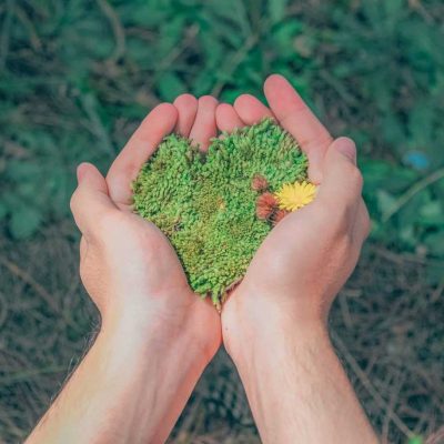 Tips for an Eco-Friendly Move