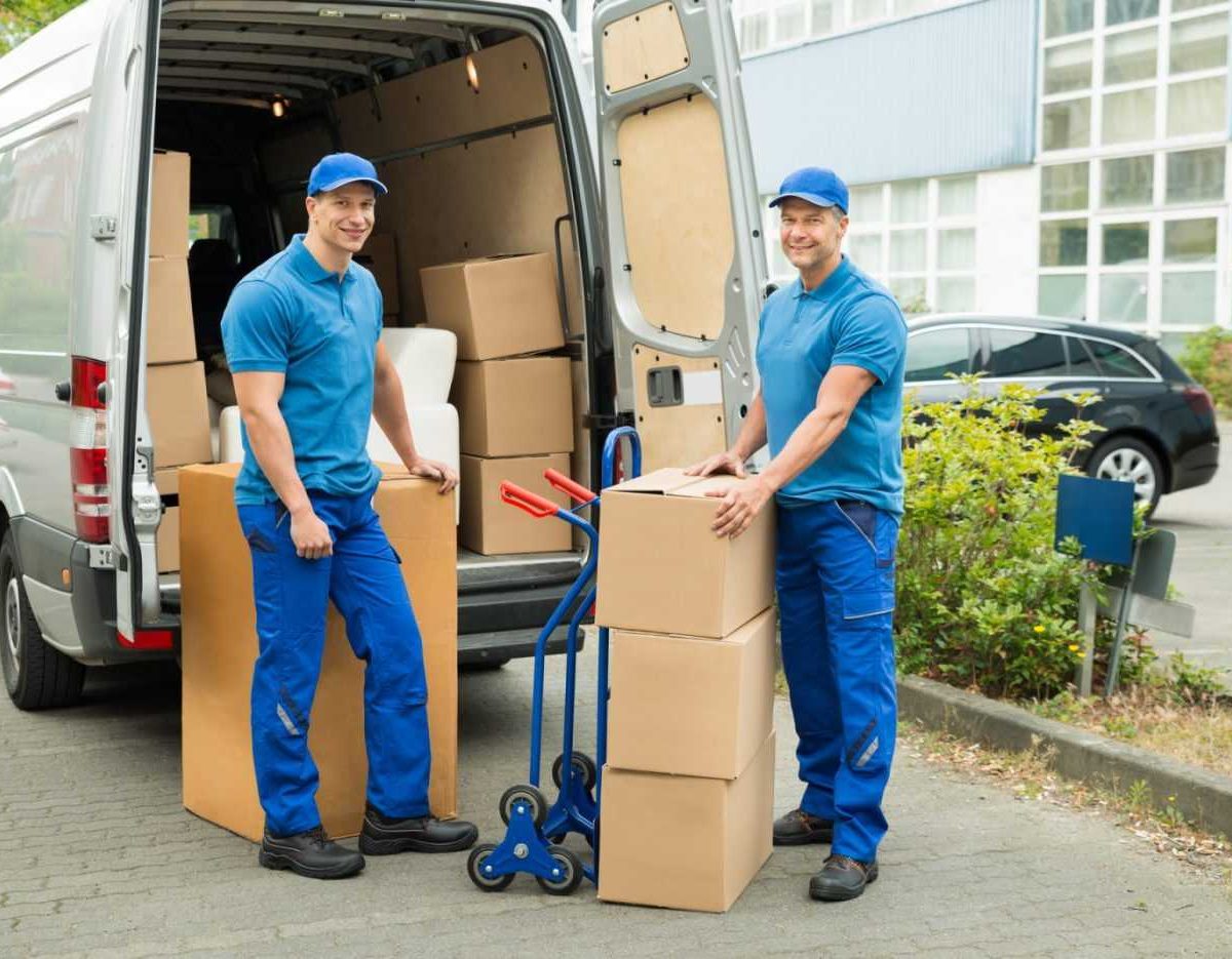 Bayonne Movers Hudson County Vector Movers Nj