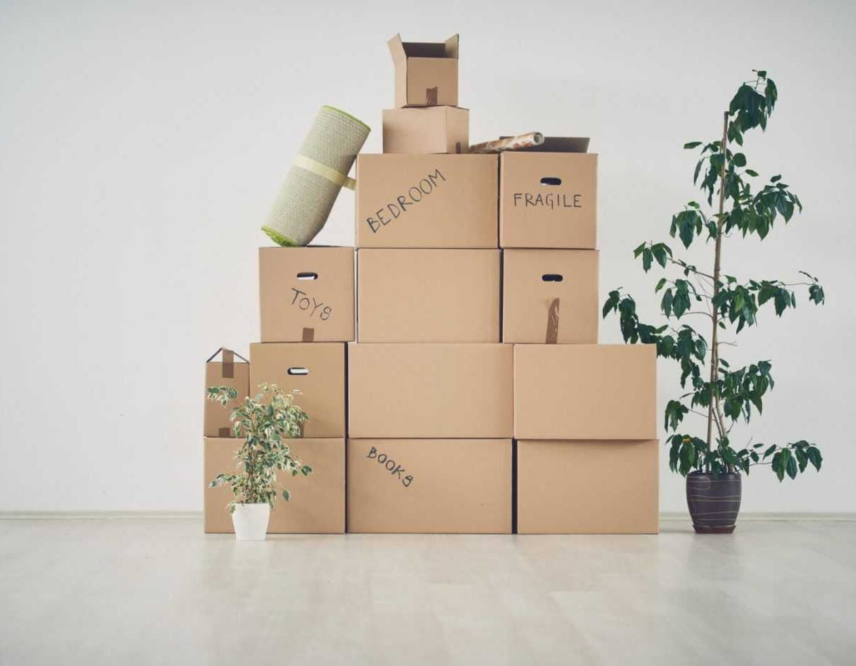 Vector Movers NJ is a local & long distance North Bergen moving company