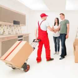 mover packing services