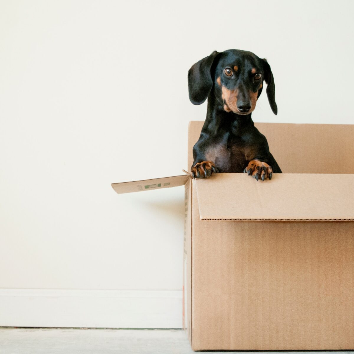 How to Pack for Moving