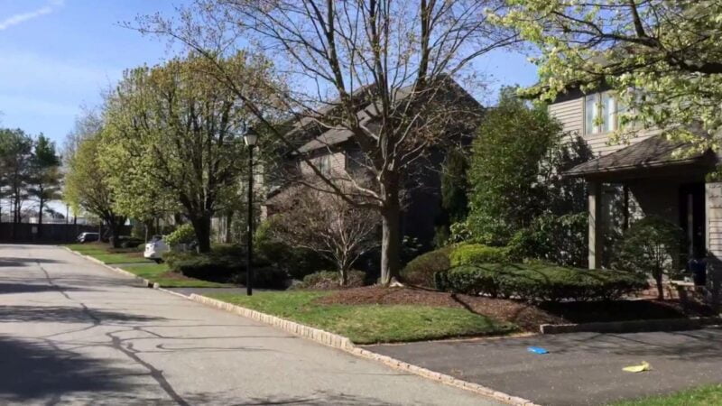 Vector Movers NJ is a top-rated Glen Rock moving company