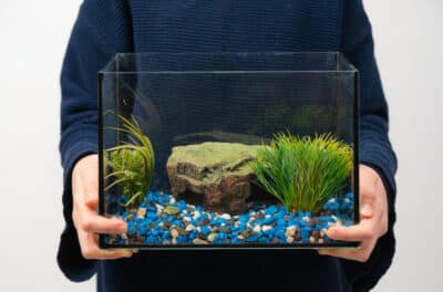 Fish Tank Movers: Finding the Right Professionals for Your Aquarium Relocation