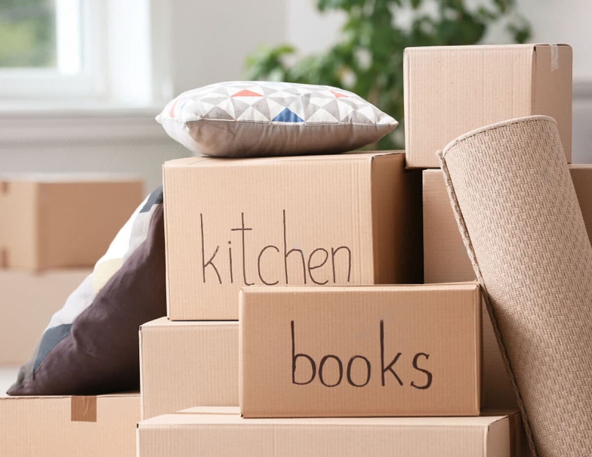 Expert Guide How to Pack Books for Moving Safely and Efficiently