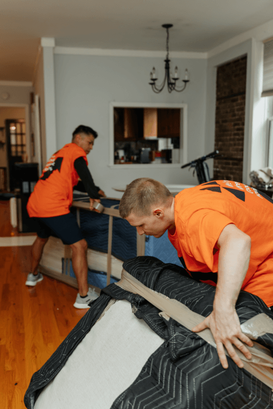 Victory Gardens NJ moving company - Vector Movers