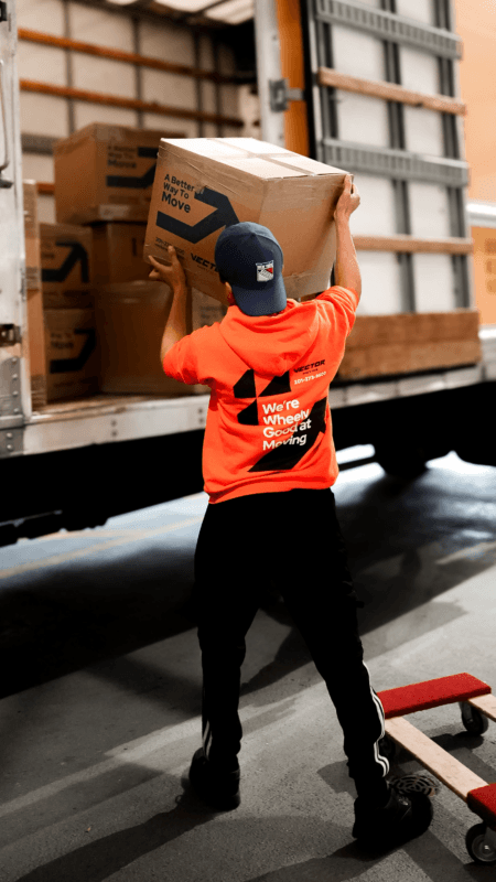 Alexandria NJ moving company - Vector Movers