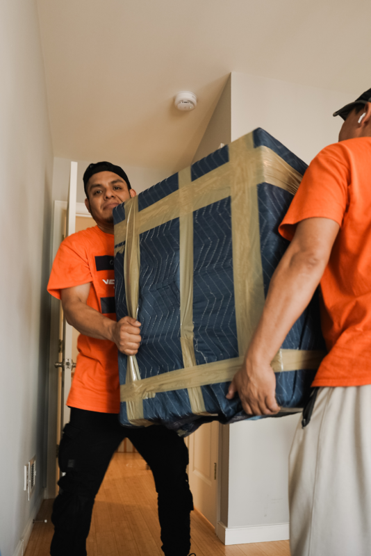 Bay Head NJ moving company - Vector Movers