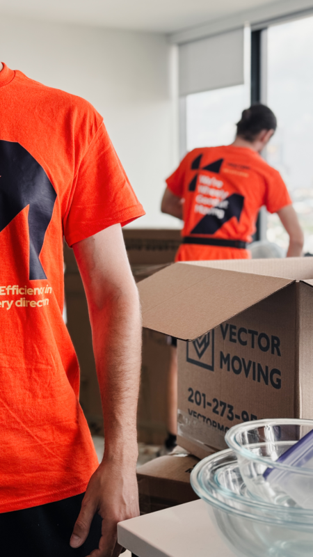 Beach Haven NJ moving company - Vector Movers