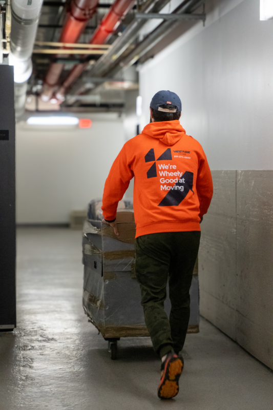 Newton NJ moving company - Vector Movers